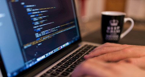 企业网站建设解决方案