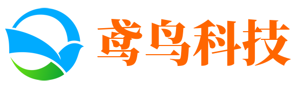 鸢鸟科技武汉网站建设、制作、设计公司